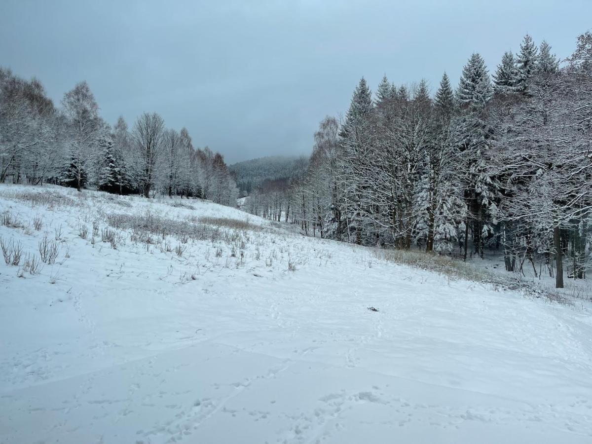 Vila Mlynowiec 4Rest Stronie Śląskie Exteriér fotografie