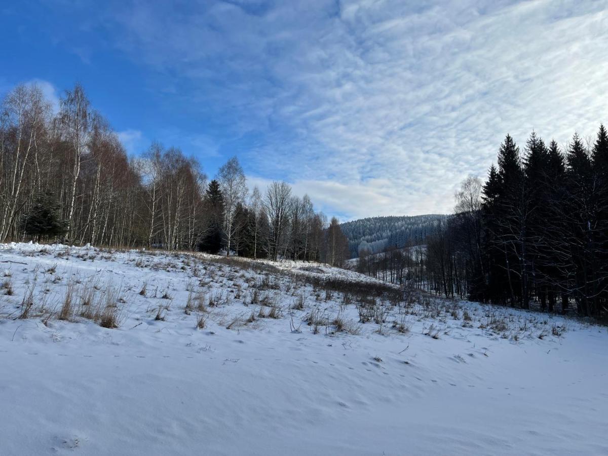 Vila Mlynowiec 4Rest Stronie Śląskie Exteriér fotografie