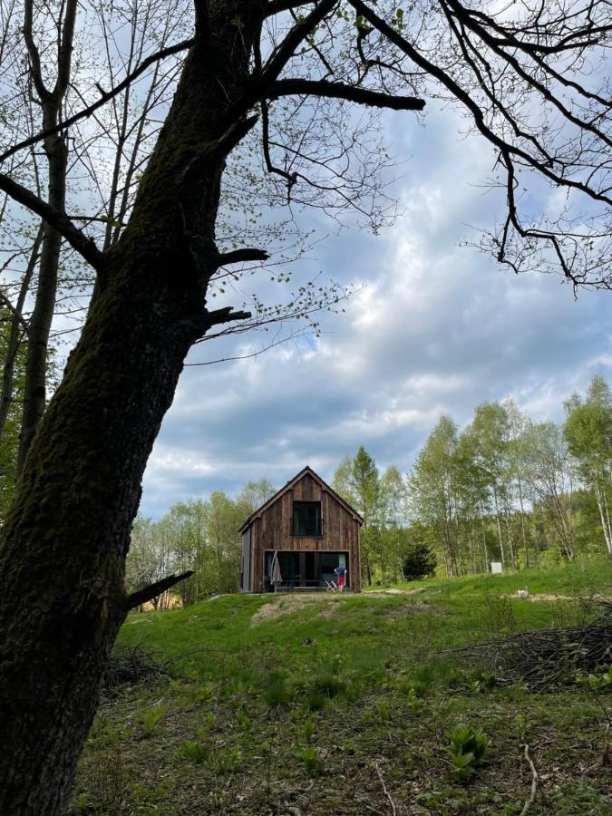 Vila Mlynowiec 4Rest Stronie Śląskie Exteriér fotografie