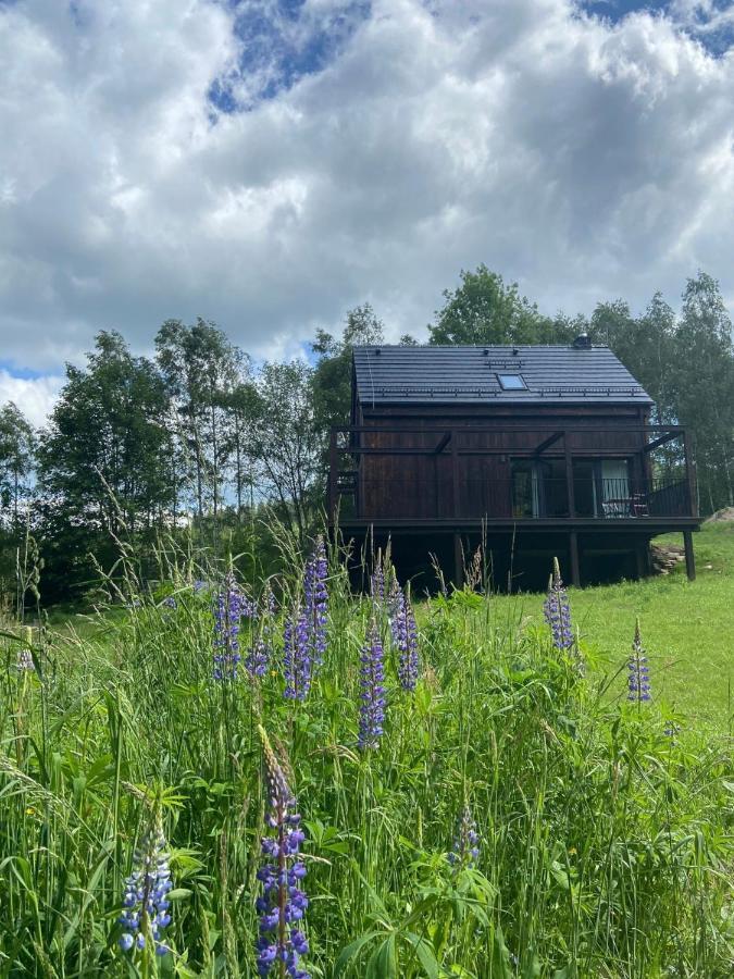 Mlynowiec 4Rest Stronie Śląskie Exteriér fotografie