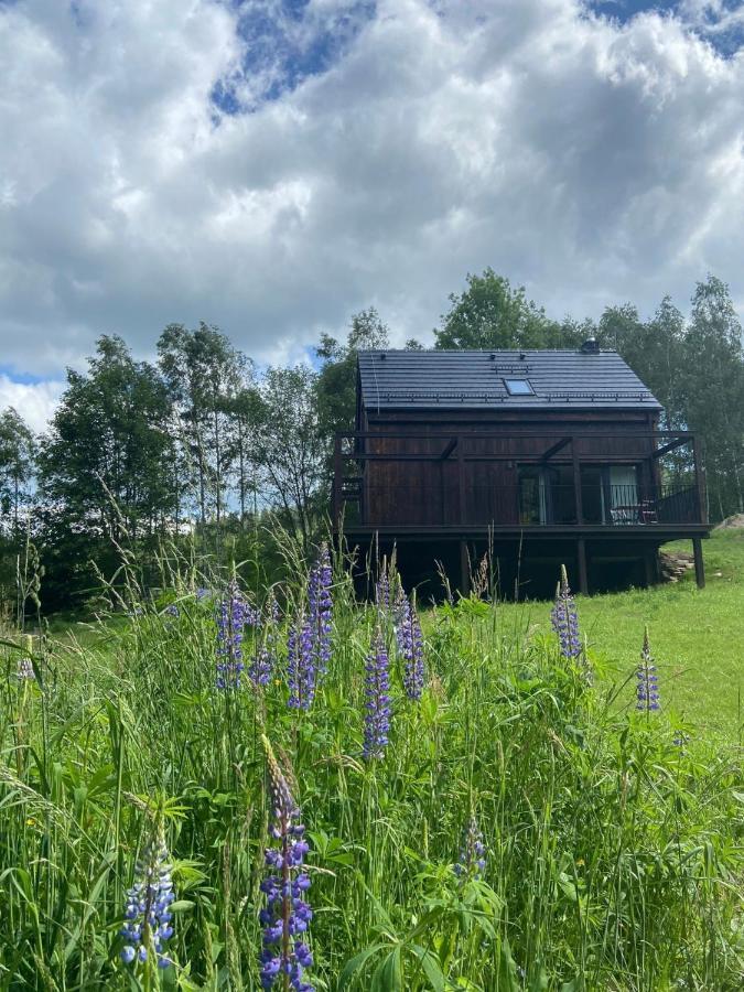 Vila Mlynowiec 4Rest Stronie Śląskie Exteriér fotografie